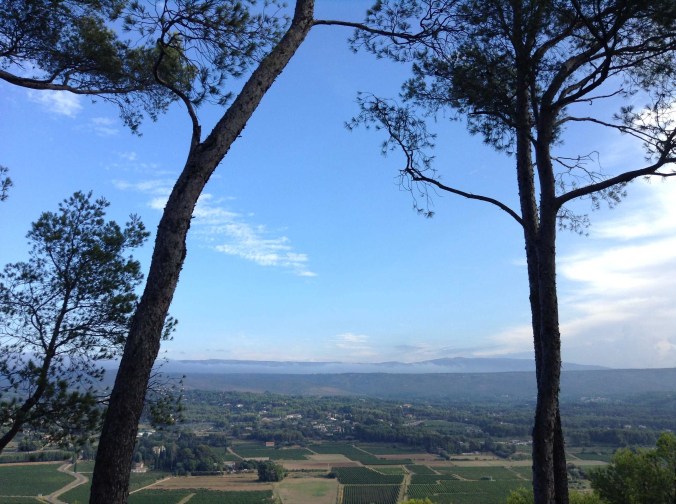 The vineyards of Le Castellet from La Cadiere D'Azur