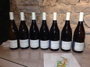 The Sebastien Magnien White Burgundy Degustation
