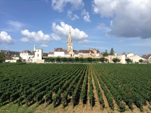 Meursault from Chateau de Citeaux La Cueillette