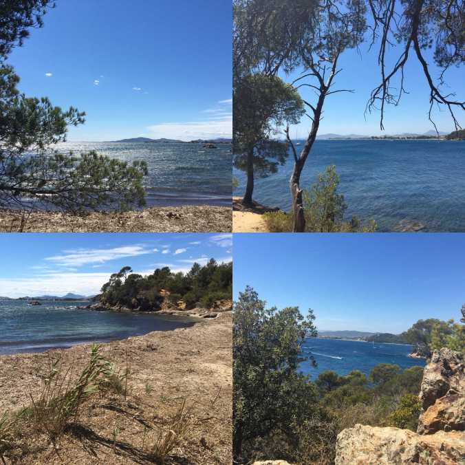 010DE293-AEAA-4C79-9DBA-BA259ABD968D