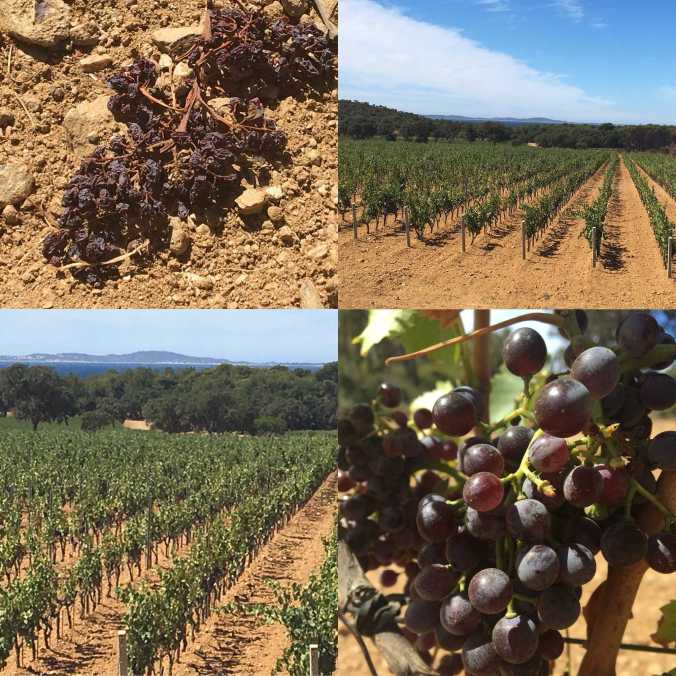 1A06C824-F1A6-46A7-AEE5-8CD3DC4277BC