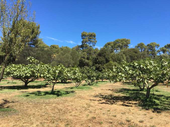 675E8FBF-A910-45DE-929C-AF2B97BEA235