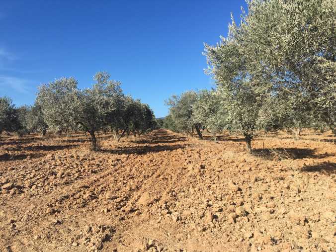 6EFB148A-AFCB-4753-A86D-8C193F56ABBC